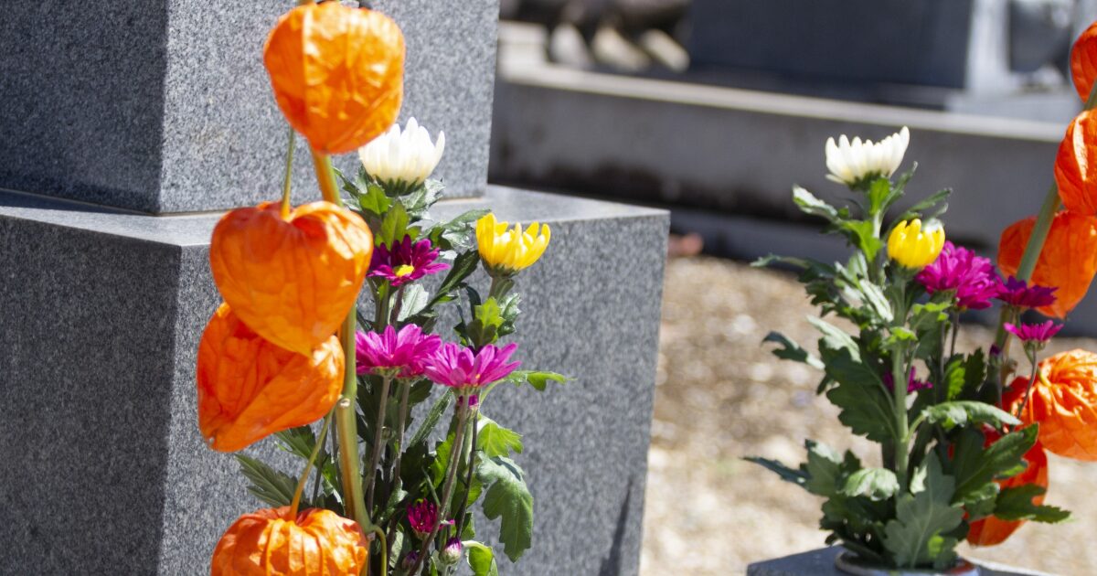墓石に供えられたホオズキと花