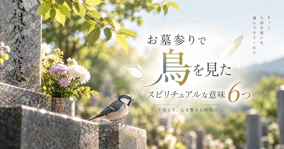 お墓参りで鳥を見たスピリチュアルな意味6つ｜不安な受け止め方を落ち着いて整理できる！